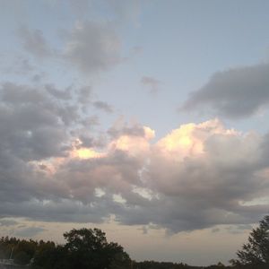 Meet your Posher, Natasha